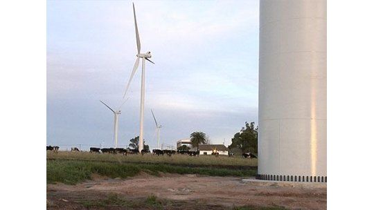 Ciudadanos podrán ser socios de UTE invirtiendo en energía eólica