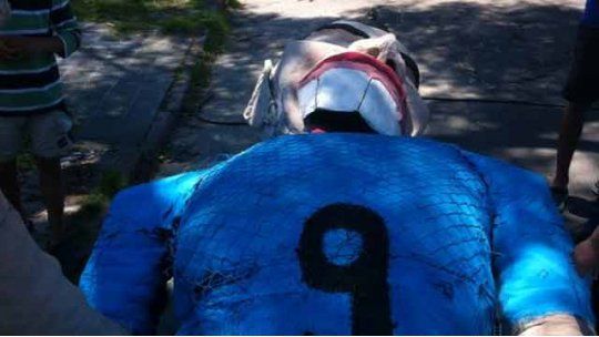 Muñeco Suárez La Blanqueada