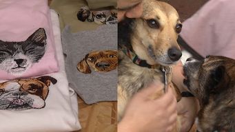 canelis: el sueno de un uruguayo que queria salvar perros e ideo un emprendimiento para sustentarlo