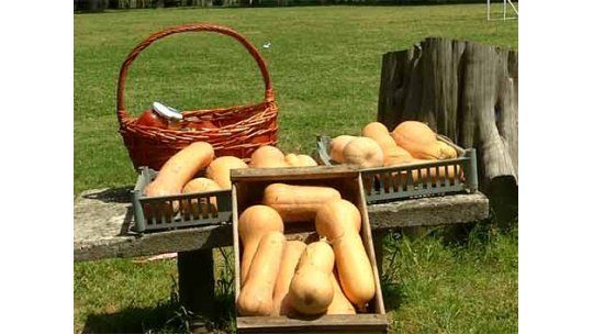 Regalo de Mujica a sirios