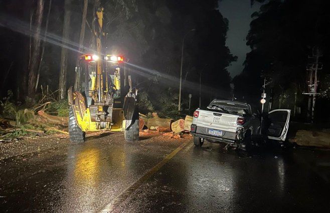 Un fallecido tras chocar contra un árbol caído en Maldonado y destrozos en el departamento por el temporal. Foto: Intendencia de Maldonado.