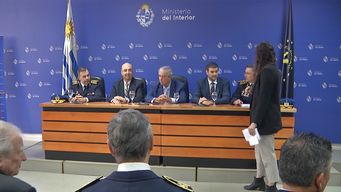 interior creo la direccion general de seguridad en el deporte