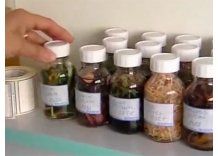 Asociación afirma que gotas suspendidas por MSP no son homeopatía