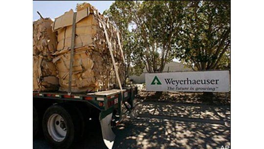 También sector maderero anuncia seguro de paro por efecto Brasil