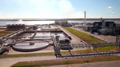 6 de cada 10 uruguayos aprueba la segunda planta de upm