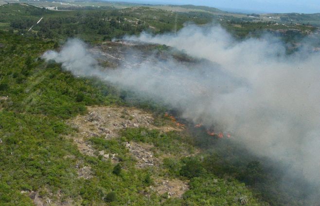 Fuego en el cerro El Tirol, cerca del Pan de Azúcar. Foto del domingo 28 de enero.