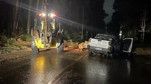 Un fallecido tras chocar contra un árbol caído en Maldonado y destrozos en el departamento por el temporal. Foto: Intendencia de Maldonado.