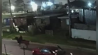 amenazo a una mujer con un arma, le robo el celular y se fugo a caballo; el animal fue incautado