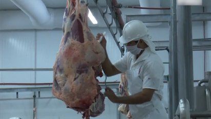 japon habilito 16 frigorificos uruguayos para exportar carne vacuna a ese mercado