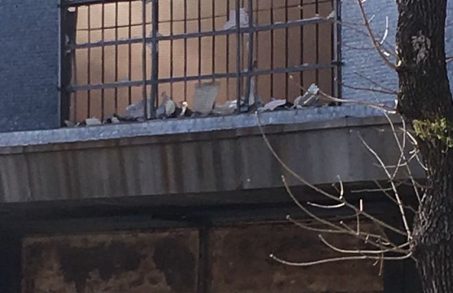 WhatsApp Image 2018-06-22 at 12.33.55.jpeg