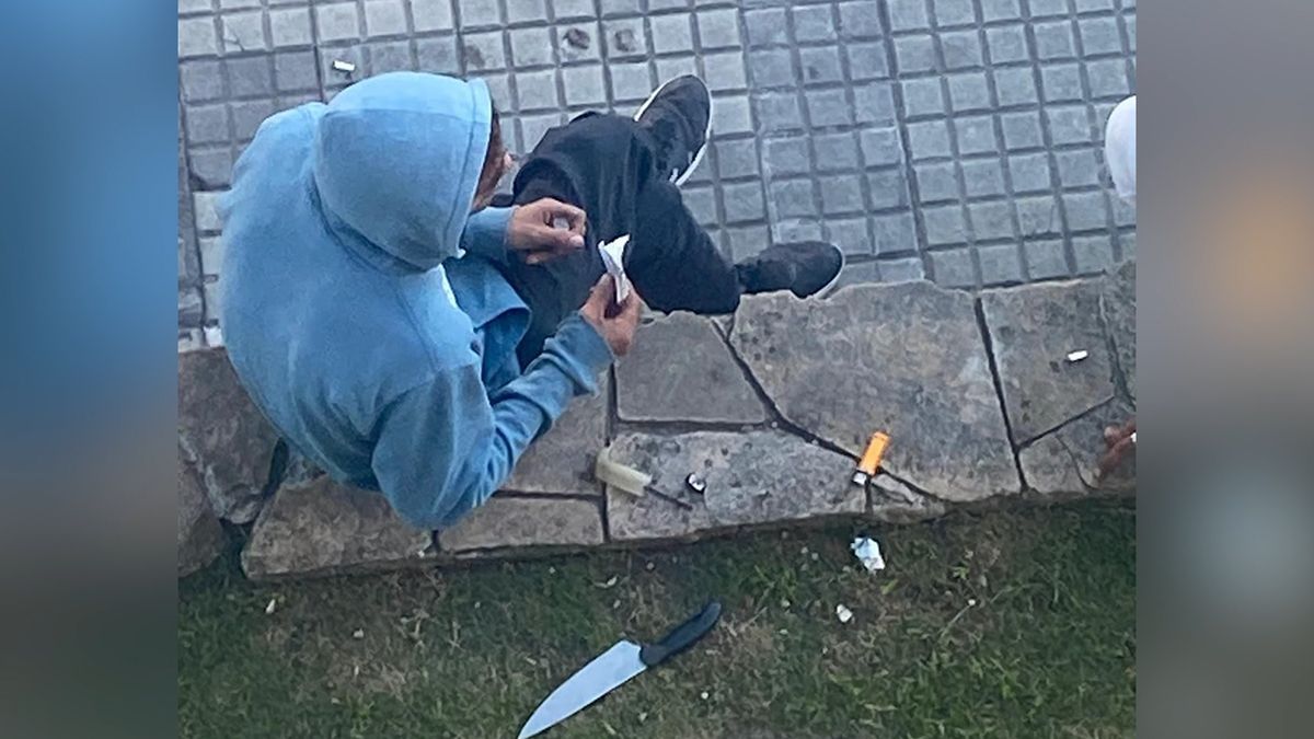 Condenaron al adolescente que robó al perro Darko en Parque Rodó; irá al Inisa por 14 meses
