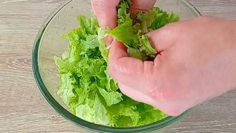 aumento el precio de la lechuga; desde la uam esperan que en 30 dias se normalice la situacion