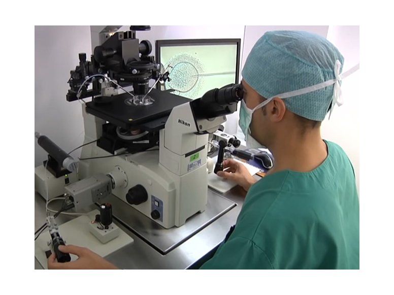 Se retrasa la puesta en práctica de los tratamientos de fecundación in vitro