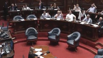 tensa discusion en el senado entre caggiani y coutinho por votacion de la venia de embajador