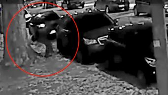 imputaron con prision preventiva a la pareja que robaba en vehiculos del cordon y parque rodo