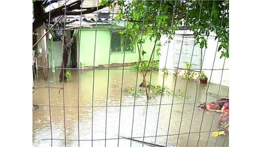Asentamiento bajo agua, con 20 evacuados, ratas y serpientes