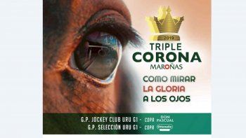 Subrayado | 7 MICRO TURF 27 D SET