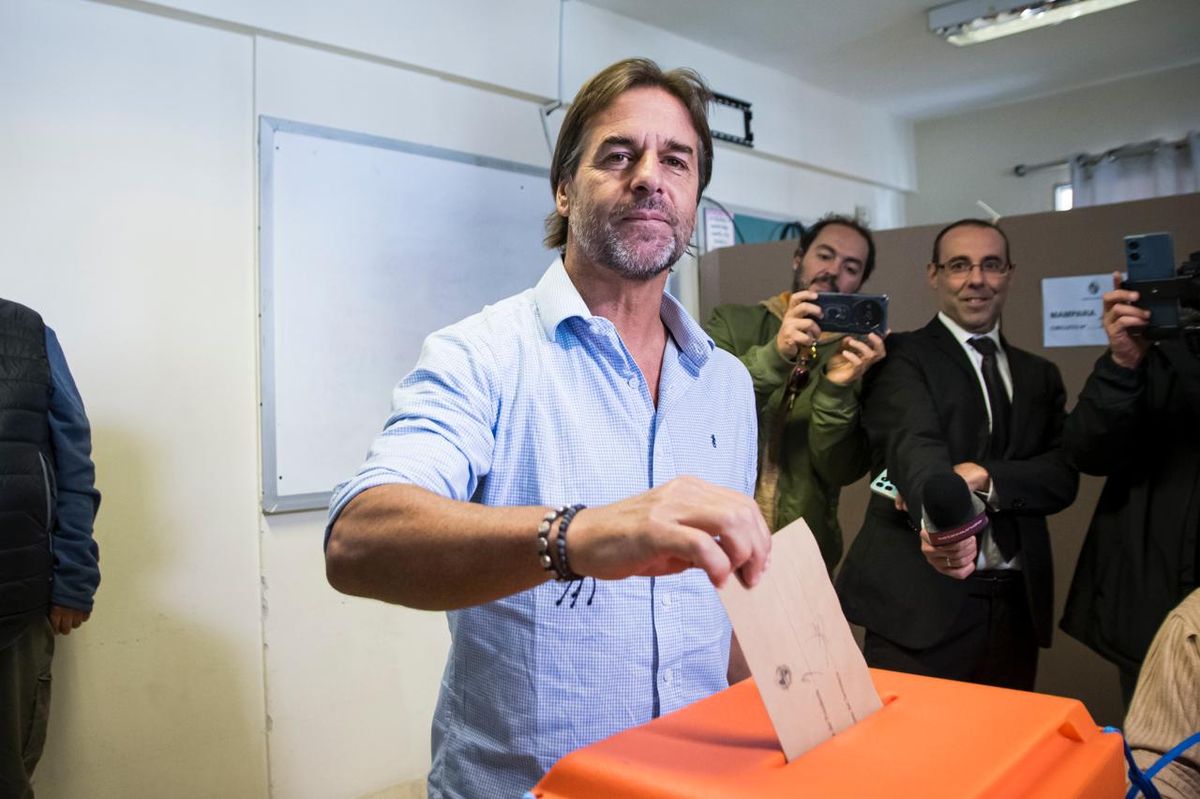 WhatsApp Image 2025-05-11 at 11.51.03.jpeg