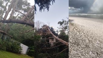 mas de 80 intervenciones de bomberos por los fuertes vientos; el parque rodo se cubrio de arena y una playa de hielo