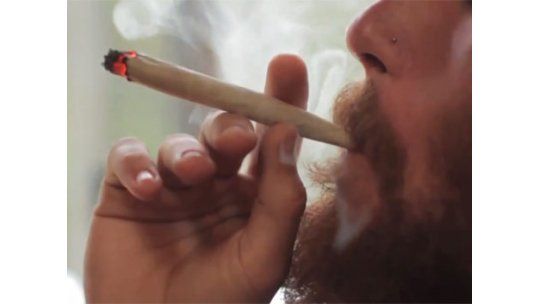 Con ley de marihuana se podrá fumar dos porros por día