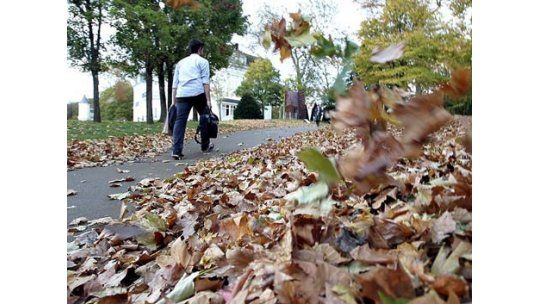 Jornadas otoñales, con la temperatura en baja desde el viernes