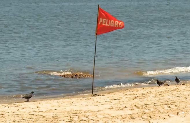 bandera-sanitaria-playa-montevideo