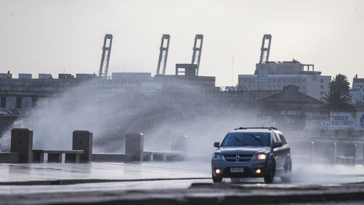 Aviso meteorológico por rachas de viento fuerte: desde cuándo y para qué zonas rige