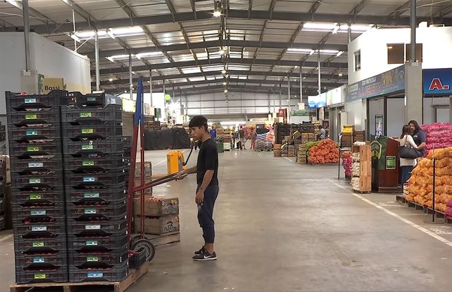 UAM-FRUTAS-Y-VERDURAS-COMERCIO.jpg