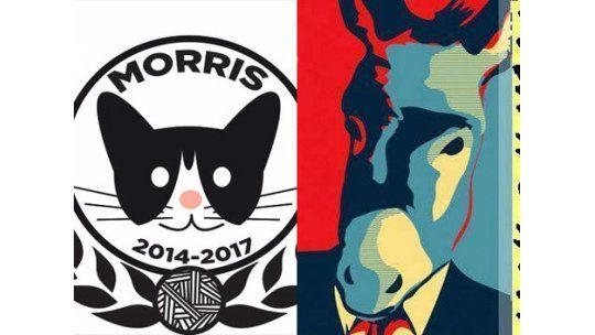 Un burro y un gato candidatos a alcaldes en México