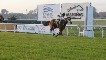 Subrayado | MICRO TURF 28 D MAY