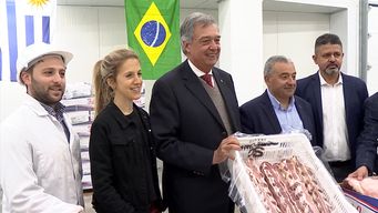 llego a uruguay la primera tanda de carne con hueso desde brasil; esperan precio mas accesible