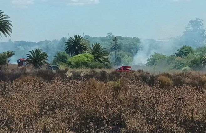 Foto: Beatriz Martínez, Subrayado.