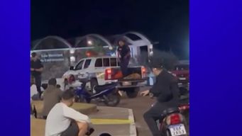 policia mato de un disparo a un perro en la via publica; edil reclama refugios y protectora medidas