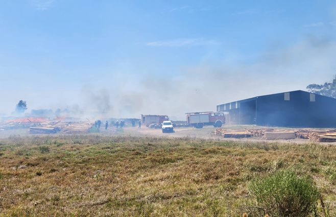 WhatsApp Image 2023-02-12 at 12.06.53.jpeg