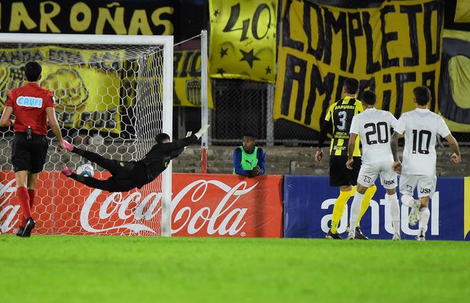 WhatsApp Image 2024-04-17 at 21.07.41.jpeg