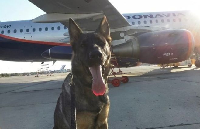 Sindicato Guardia Republicana