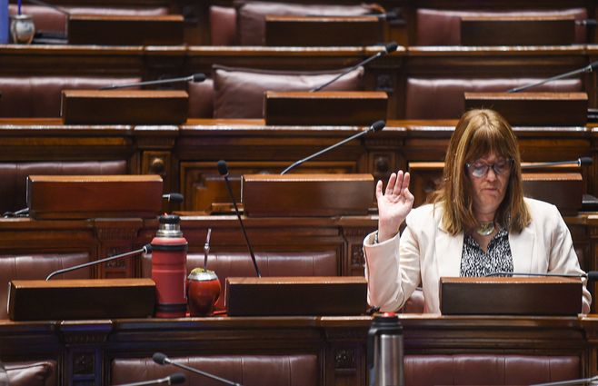 CECILIA-CAIRO-DIPUTADOS-FOCO-UY.jpg