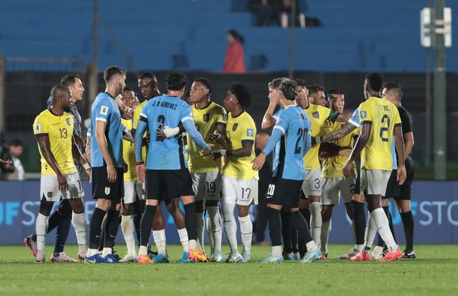 WhatsApp Image 2024-10-15 at 22.04.14.jpeg