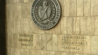 hay gran preocupacion de los escribanos por operaciones trancadas, dijo presidenta de la asociacion tras conflicto de registrales