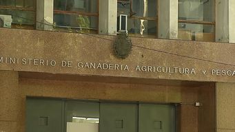 denuncian practicas antisindicales y acciones hostiles en el mgap; piden intervencion de cofe y dinatra