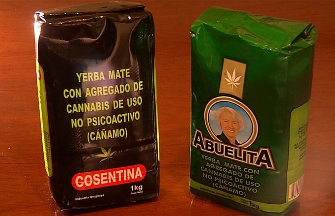 YERBA-CANNABIS.jpg