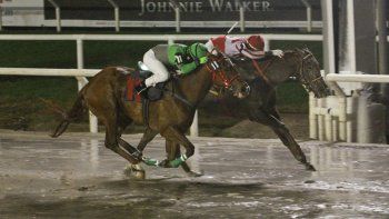 Subrayado | MICRO TURF 30 D JUL