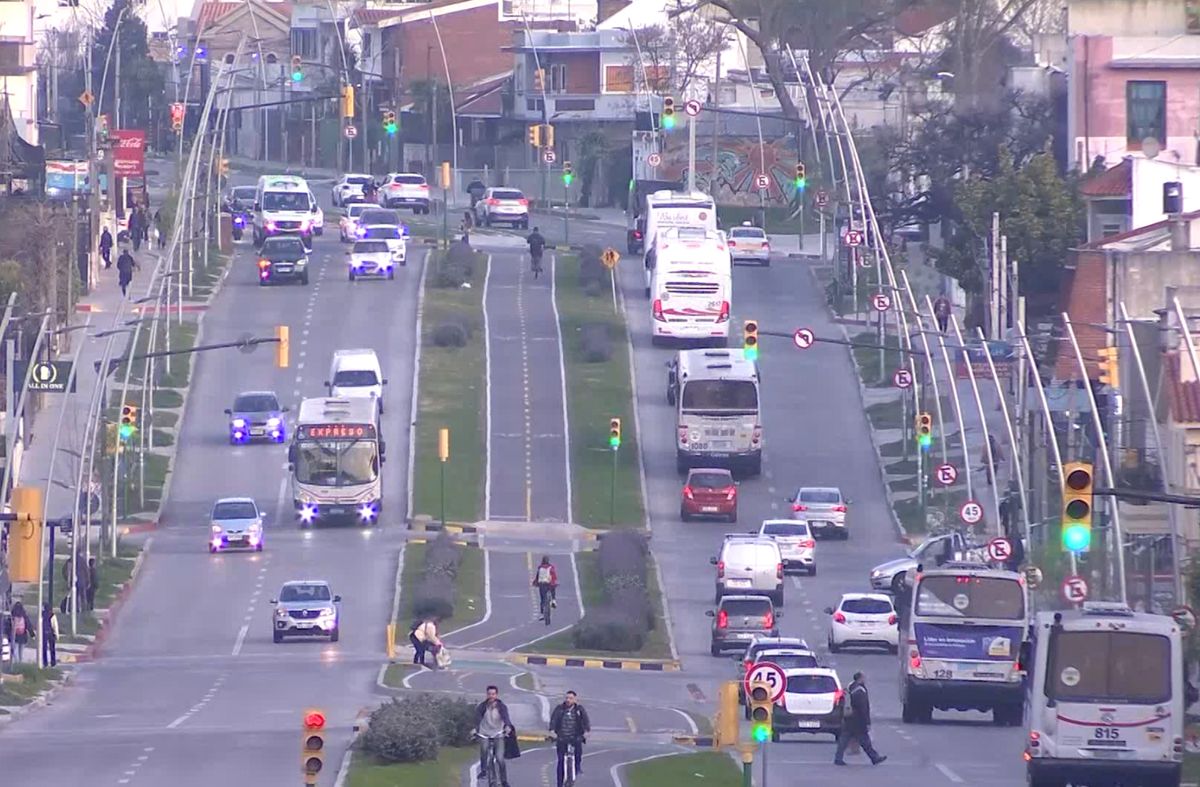 Unasev aprobó el decreto que reglamenta la libreta de conducir por puntos y se conoce cuántos puntos quita cada infracción