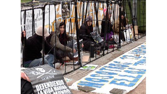Activistas se enjaulan frente a casa de intendenta de Montevideo