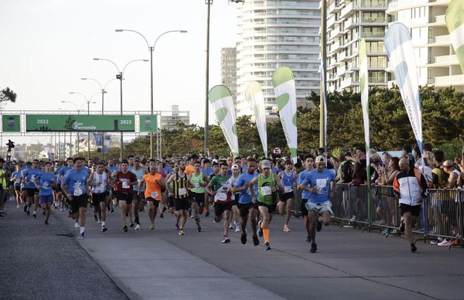 Intendencia de Maldonado