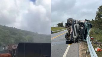 camion de transporte vacuno volco en rivera; segundo siniestro de estas caracteristicas en rutas nacionales este jueves