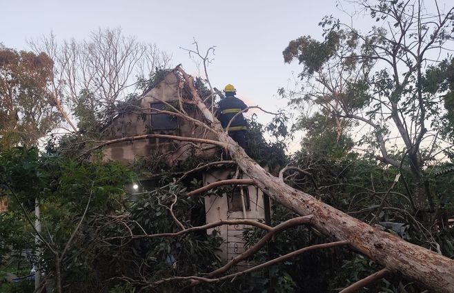 Registro de un árbol caído sobre una casa en Barra de Chuy. Foto: Willan Dialutto.&nbsp;