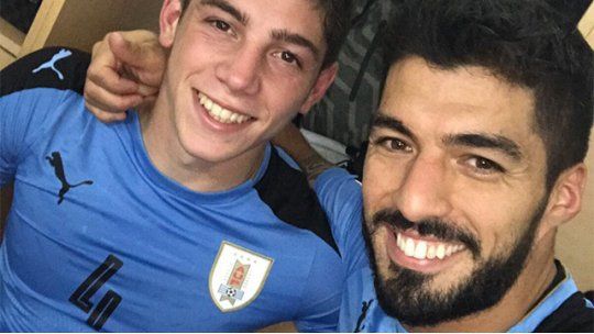 pajarito Luis Suárez