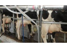 Se solucionó el conflicto que afectaba el transporte de leche