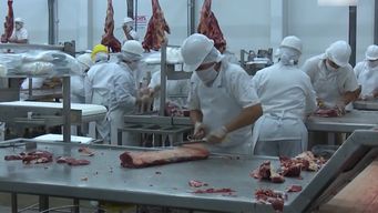 frigorifico casa blanca envio 450 trabajadores a seguro de paro tras streaming de conexion ganadera